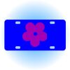 Copy of Personalized 3 X 6 Heavy Duty Acrylic / Plastic License Plate Thumbnail