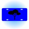 Copy of Personalized 3 X 6 Heavy Duty Acrylic / Plastic License Plate Thumbnail