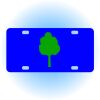 Copy of Personalized 3 X 6 Heavy Duty Acrylic / Plastic License Plate Thumbnail