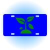 Copy of Personalized 3 X 6 Heavy Duty Acrylic / Plastic License Plate Thumbnail