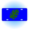 Copy of Personalized 3 X 6 Heavy Duty Acrylic / Plastic License Plate Thumbnail