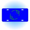 Copy of Personalized 3 X 6 Heavy Duty Acrylic / Plastic License Plate Thumbnail