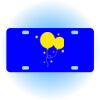 Copy of Personalized 3 X 6 Heavy Duty Acrylic / Plastic License Plate Thumbnail
