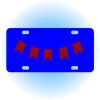 Copy of Personalized 3 X 6 Heavy Duty Acrylic / Plastic License Plate Thumbnail