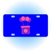 Copy of Personalized 3 X 6 Heavy Duty Acrylic / Plastic License Plate Thumbnail