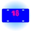Copy of Personalized 3 X 6 Heavy Duty Acrylic / Plastic License Plate Thumbnail