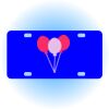 Copy of Personalized 3 X 6 Heavy Duty Acrylic / Plastic License Plate Thumbnail