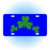 Copy of Personalized 3 X 6 Heavy Duty Acrylic / Plastic License Plate Thumbnail