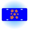 Copy of Personalized 3 X 6 Heavy Duty Acrylic / Plastic License Plate Thumbnail
