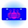 Copy of Personalized 3 X 6 Heavy Duty Acrylic / Plastic License Plate Thumbnail