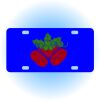 Copy of Personalized 3 X 6 Heavy Duty Acrylic / Plastic License Plate Thumbnail
