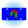 Copy of Personalized 3 X 6 Heavy Duty Acrylic / Plastic License Plate Thumbnail