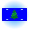 Copy of Personalized 3 X 6 Heavy Duty Acrylic / Plastic License Plate Thumbnail