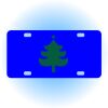 Copy of Personalized 3 X 6 Heavy Duty Acrylic / Plastic License Plate Thumbnail