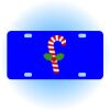 Copy of Personalized 3 X 6 Heavy Duty Acrylic / Plastic License Plate Thumbnail