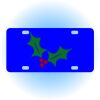 Copy of Personalized 3 X 6 Heavy Duty Acrylic / Plastic License Plate Thumbnail