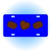 Copy of Personalized 3 X 6 Heavy Duty Acrylic / Plastic License Plate Thumbnail