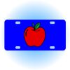 Copy of Personalized 3 X 6 Heavy Duty Acrylic / Plastic License Plate Thumbnail