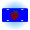 Copy of Personalized 3 X 6 Heavy Duty Acrylic / Plastic License Plate Thumbnail