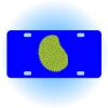 Copy of Personalized 3 X 6 Heavy Duty Acrylic / Plastic License Plate Thumbnail