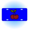 Copy of Personalized 3 X 6 Heavy Duty Acrylic / Plastic License Plate Thumbnail