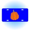 Copy of Personalized 3 X 6 Heavy Duty Acrylic / Plastic License Plate Thumbnail