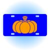 Copy of Personalized 3 X 6 Heavy Duty Acrylic / Plastic License Plate Thumbnail
