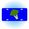 Copy of Personalized 3 X 6 Heavy Duty Acrylic / Plastic License Plate Thumbnail