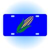 Copy of Personalized 3 X 6 Heavy Duty Acrylic / Plastic License Plate Thumbnail