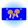 Copy of Personalized 3 X 6 Heavy Duty Acrylic / Plastic License Plate Thumbnail