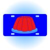 Copy of Personalized 3 X 6 Heavy Duty Acrylic / Plastic License Plate Thumbnail