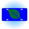 Copy of Personalized 3 X 6 Heavy Duty Acrylic / Plastic License Plate Thumbnail