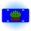 Copy of Personalized 3 X 6 Heavy Duty Acrylic / Plastic License Plate Thumbnail