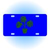 Copy of Personalized 3 X 6 Heavy Duty Acrylic / Plastic License Plate Thumbnail