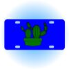 Copy of Personalized 3 X 6 Heavy Duty Acrylic / Plastic License Plate Thumbnail