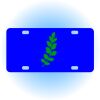 Copy of Personalized 3 X 6 Heavy Duty Acrylic / Plastic License Plate Thumbnail
