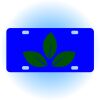 Copy of Personalized 3 X 6 Heavy Duty Acrylic / Plastic License Plate Thumbnail