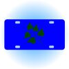 Copy of Personalized 3 X 6 Heavy Duty Acrylic / Plastic License Plate Thumbnail