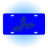 Copy of Personalized 3 X 6 Heavy Duty Acrylic / Plastic License Plate Thumbnail
