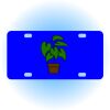 Copy of Personalized 3 X 6 Heavy Duty Acrylic / Plastic License Plate Thumbnail
