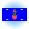 Copy of Personalized 3 X 6 Heavy Duty Acrylic / Plastic License Plate Thumbnail