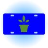 Copy of Personalized 3 X 6 Heavy Duty Acrylic / Plastic License Plate Thumbnail