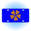 Copy of Personalized 3 X 6 Heavy Duty Acrylic / Plastic License Plate Thumbnail