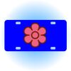 Copy of Personalized 3 X 6 Heavy Duty Acrylic / Plastic License Plate Thumbnail