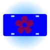 Copy of Personalized 3 X 6 Heavy Duty Acrylic / Plastic License Plate Thumbnail