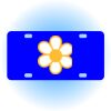 Copy of Personalized 3 X 6 Heavy Duty Acrylic / Plastic License Plate Thumbnail