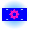 Copy of Personalized 3 X 6 Heavy Duty Acrylic / Plastic License Plate Thumbnail