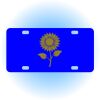 Copy of Personalized 3 X 6 Heavy Duty Acrylic / Plastic License Plate Thumbnail