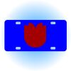 Copy of Personalized 3 X 6 Heavy Duty Acrylic / Plastic License Plate Thumbnail