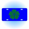 Copy of Personalized 3 X 6 Heavy Duty Acrylic / Plastic License Plate Thumbnail